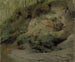 Foresta con una pendenza sabbiosa - Eero Järnefelt — vista dell’opera