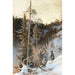 Caccia alla lince - Eero Järnefelt — vista dell’opera