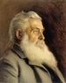Ritratto di M. Ahnger - Eero Järnefelt — vista dell’opera