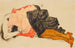 Donna che nasconde il volto - Egon Schiele — vista dell’opera