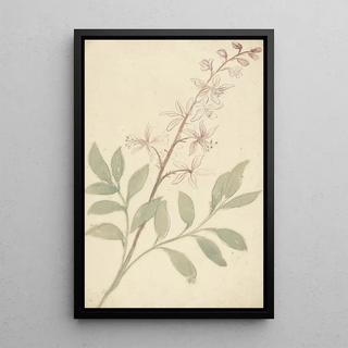 Elias van Nijmegen - Bloemstudie.webp