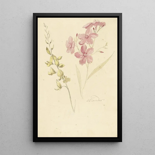 Elias van Nijmegen - Oleander en brem.webp