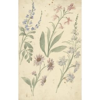 Elias van Nijmegen - Vier studies van roze en blauwe bloemen.webp