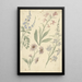Quattro studi di fiori rosa e blu - Elias van Nijmegen — quadro incorniciato alla parete
