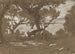 Mont Colognola, pecore al pascolo sul lago Trasimeno - Elihu Vedder — vista dell’opera