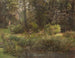 Studio della natura - Elise Habelt — vista dell’opera