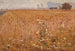 Campo di grano - Eliseu Visconti — vista dell’opera
