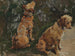 Due terrier in studio per le semi-vacanze - Elizabeth Adela Forbes — vista dell’opera
