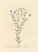 Lin - Elizabeth Blackwell — vista dell’opera