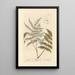 Sumac - Elizabeth Blackwell — quadro incorniciato alla parete