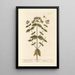 Millepertuis ou feuilles de parc - Elizabeth Blackwell — quadro incorniciato alla parete