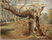 Albero in decomposizione - Elizabeth Murray — vista dell’opera