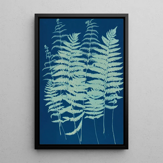 Ella J C Hurd - Ferns of Huntington Long Island Pl07.webp