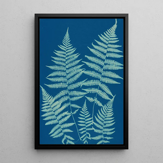 Ella J C Hurd - Ferns of Huntington Long Island Pl18.webp