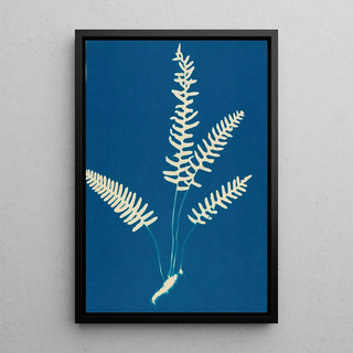 Ella J C Hurd - Ferns of Huntington Long Island Pl27.webp