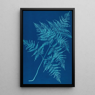 Ella J C Hurd - Ferns of Huntington Long Island Pl30.webp