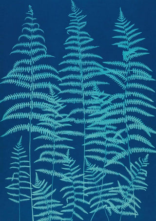 Ella J C Hurd - Ferns of Huntington Long Island Pl39.webp