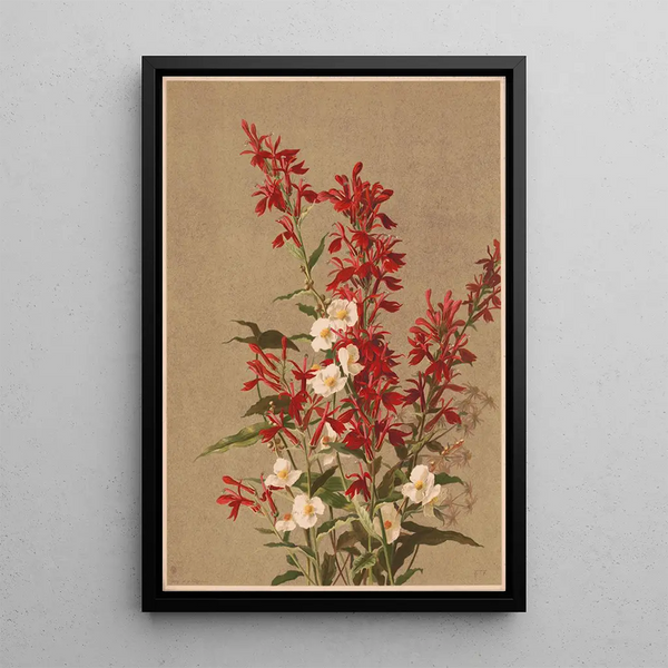 Ellen Fisher - Cardinal flower.webp