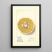 Citrus paradisi Royal - Ellen Isham Schutt — quadro incorniciato alla parete