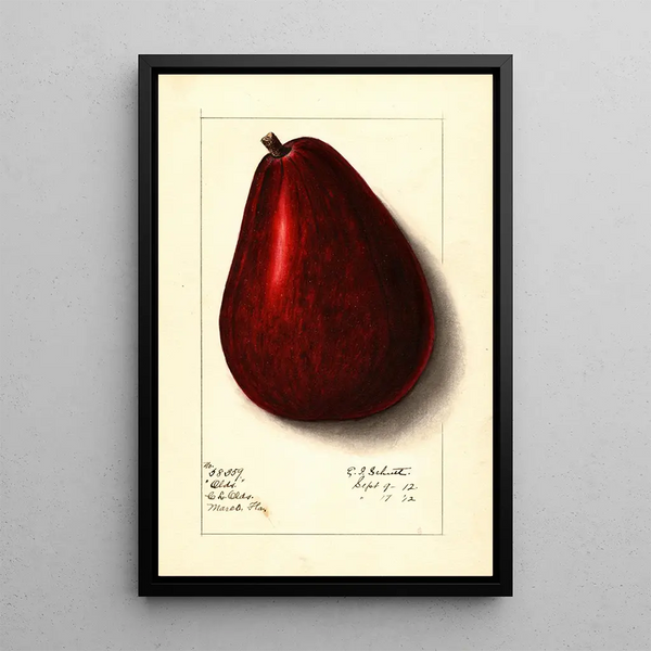 Persea Olds - Ellen Isham Schutt — quadro incorniciato alla parete