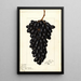 Vitis Askarie - Ellen Isham Schutt — quadro incorniciato alla parete