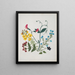 Album di fiori in carta ritagliata pl. 01 - Ellen W. — quadro incorniciato alla parete