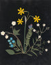 Album di fiori in carta ritagliata pl. 06 - Ellen W. — vista dell’opera