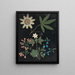 Album di fiori in carta ritagliata pl. 10 - Ellen W. — quadro incorniciato alla parete
