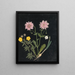 Album di fiori in carta ritagliata pl. 14 - Ellen W. — quadro incorniciato alla parete