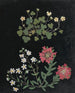 Album di fiori in carta ritagliata pl. 15 - Ellen W. — vista dell’opera