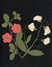 Album di fiori in carta ritagliata Pl19 - Ellen W. | W — vista dell’opera