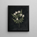 Album di fiori in carta ritagliata Pl25 - Ellen W. — quadro incorniciato alla parete