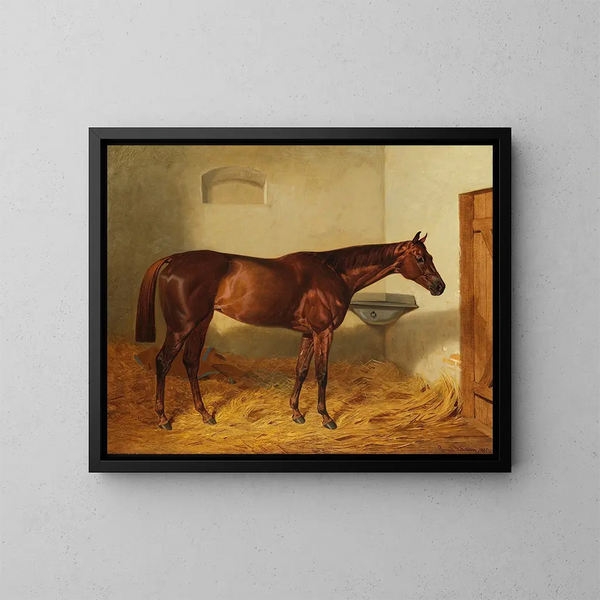 La jument Kincsem - Emil Adam — quadro incorniciato alla parete