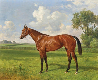 La Camargo Poulinire Jardy - Emil Adam — vista dell’opera