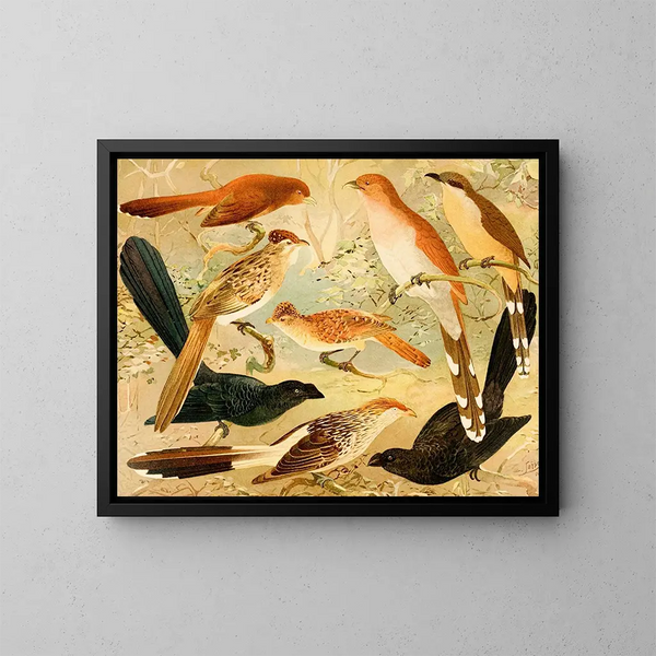Chinco Saci An Quirir - Emil August Göldi — quadro incorniciato alla parete