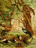Cujubi Jacs Aracus Jacamins - Emil August Göldi — vista dell’opera