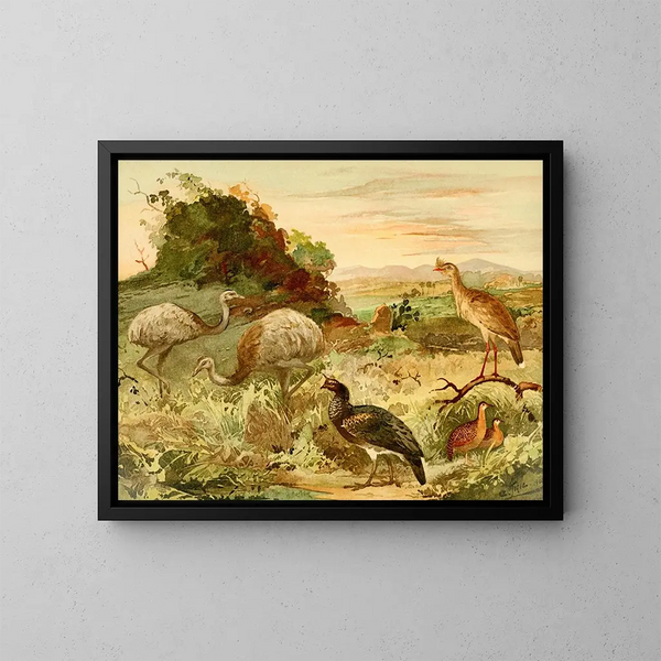 Ema Serima Anhma Perdiz - Emil August Göldi — quadro incorniciato alla parete