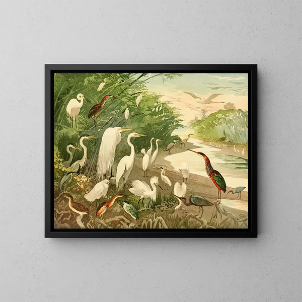 Garas - Emil August Göldi — quadro incorniciato alla parete