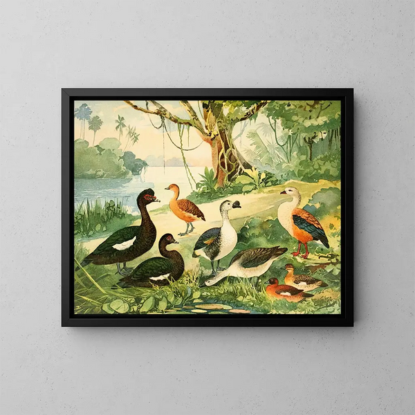 Anatre e oche - Emil August Göldi — quadro incorniciato alla parete