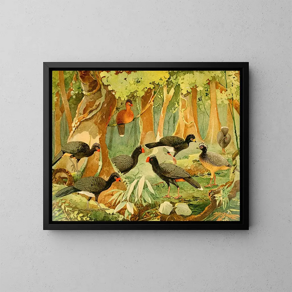 Mutms Urumutm - Emil August Göldi — quadro incorniciato alla parete