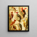 Picapus Jpec - Emil August Göldi — quadro incorniciato alla parete