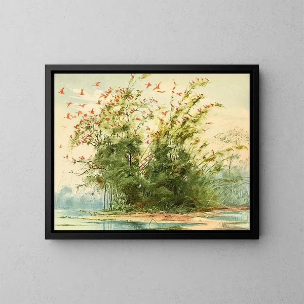 Scena di un nido di aironi Ibis rosso sulla costa atlantica dell'isola di Maraj - Emil August Göldi — quadro incorniciato alla parete