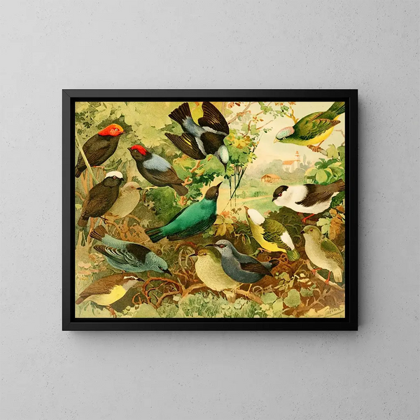 Rendeiras Sahys Uirpurs - Emil August Göldi — quadro incorniciato alla parete