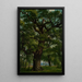 Quercia - Emil Lugo — quadro incorniciato alla parete