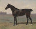 Rappes nel paesaggio - Emil Volkers — vista dell’opera