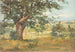 Paesaggio - Émile-Charles Dameron — vista dell’opera