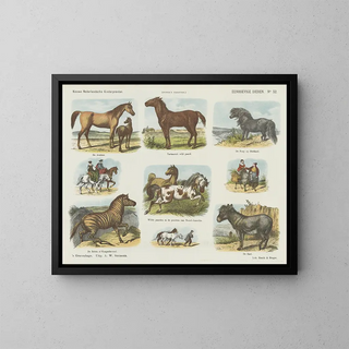 Emrik  Binger - Eenhoevige dieren.webp