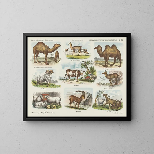 Animali ruminanti o a due zoccoli - Emrik Binger — quadro incorniciato alla parete