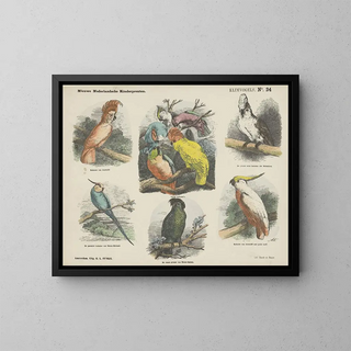 Emrik  Binger - Klimvogels.webp