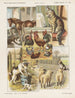 Animali domestici - Emrik Binger — vista dell’opera